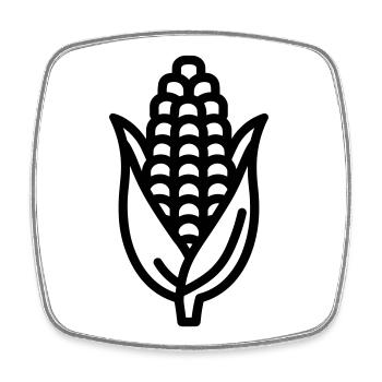corn on the cob - Square fridge magnet - white - Front