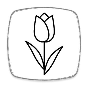 Tulpe - Viereckiger Kühlschrankmagnet - Weiß - Vorne