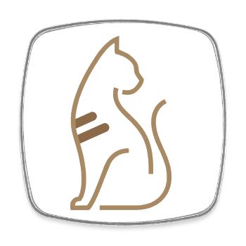 Abstraktes Katzenmotiv – Zeitlose Linienkunst - Viereckiger Kühlschrankmagnet - Weiß - Vorne