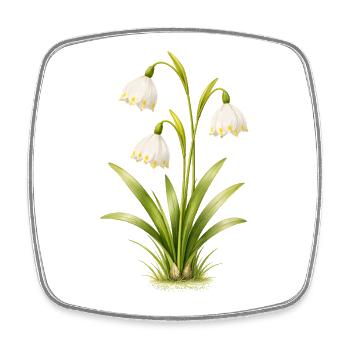 Illustration de la fleur printanière du bécher de mars - Magnet carré - blanc - Devant