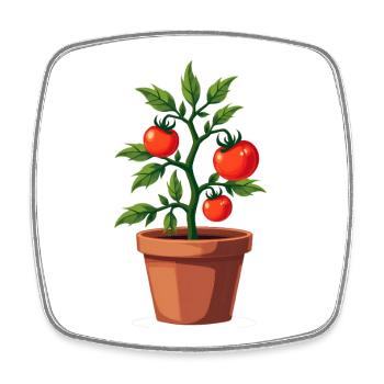 Tomato Plant - Square fridge magnet - white - Front