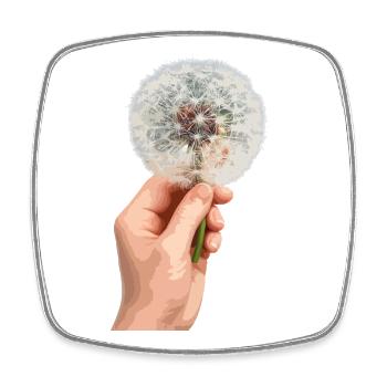 Motif de fleur de main pissenlit - Magnet carré - blanc - Devant