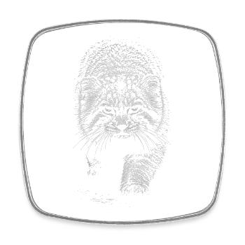 Manul - Magnet carré - blanc - Devant