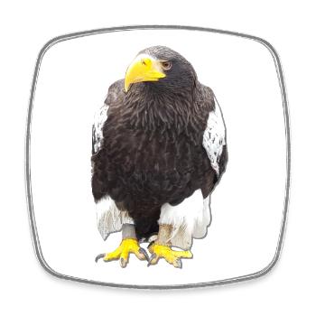 Vogeltier Greifvogel Krallen Falkner Beizjagd - Viereckiger Kühlschrankmagnet - Weiß - Vorne