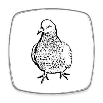 Vogel schwarz Vögel beobachten - Viereckiger Kühlschrankmagnet - Weiß - Vorne