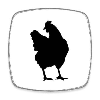 chicken - Viereckiger Kühlschrankmagnet - Weiß - Vorne
