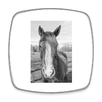 the horse - Square fridge magnet - white - Front