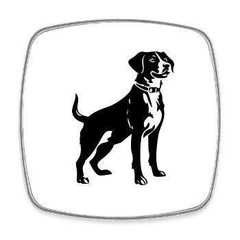 Chien Jack Russell Terrier - Magnet carré - blanc - Devant