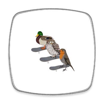 Robin Duck Owl Skateboard Bird - Square fridge magnet - white - Front