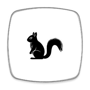 squirrel - Square fridge magnet - white - Front