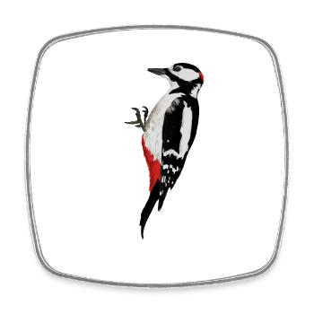 Woodpecker - Square fridge magnet - white - Front
