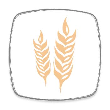 barley cereal symbol wheat logo icon vector - Square fridge magnet - white - Front