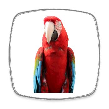 Papageien T-shirt Geschenk - Viereckiger Kühlschrankmagnet - Weiß - Vorne