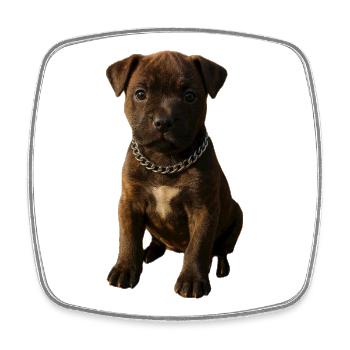 Puppy Charm Motif with Chain Collar - Square fridge magnet - white - Front