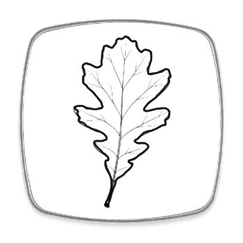 LiGu-Design - Eichenblatt Umriss  - Viereckiger Kühlschrankmagnet - Weiß - Vorne