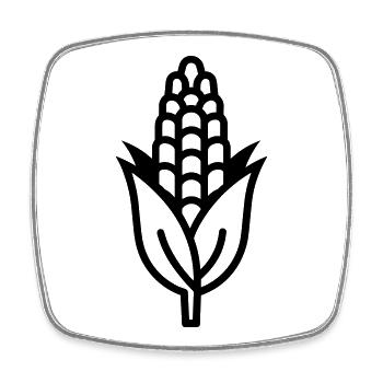 corn on the cob - Square fridge magnet - white - Front