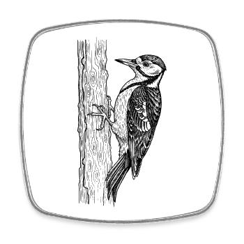 Specht Vogel - Viereckiger Kühlschrankmagnet - Weiß - Vorne