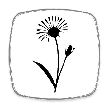 Flower Dandelion Flowers Blossom Wildflowers Herbs - Square fridge magnet - white - Front