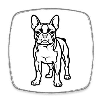 Boston Terrier - Viereckiger Kühlschrankmagnet - Weiß - Vorne
