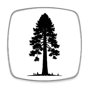 Riesige Sekvoia-Baum - Viereckiger Kühlschrankmagnet - Weiß - Vorne