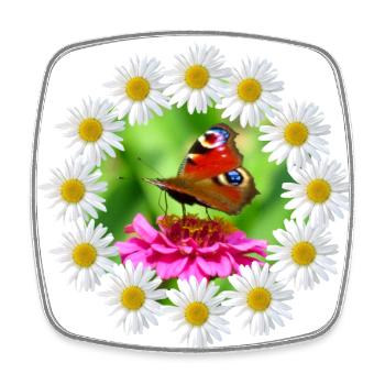 Marguerite Pink Flower Butterfly Flower Pattern - Square fridge magnet - white - Front