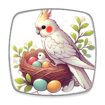 Nymphensittich-Nest mit Eiern Illustration - Viereckiger Kühlschrankmagnet - Weiß - Vorne