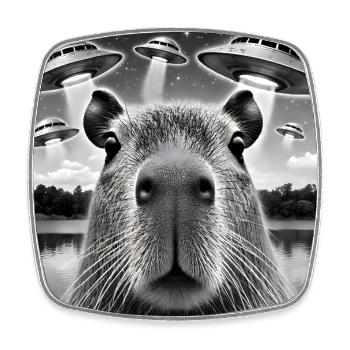 Lustige Wasserschwein Selfie mit UFO, Capybara - Viereckiger Kühlschrankmagnet - Weiß - Vorne