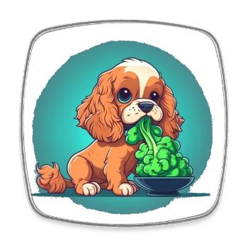Un chien mignon mange des légumes au brocoli - Magnet carré - blanc - Devant