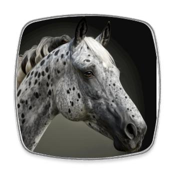 Appaloosa Pferd Kopf Weiß Schwarz Pferdeliebhaber - Viereckiger Kühlschrankmagnet - Weiß - Vorne