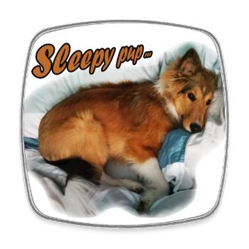 SleepyPup - Viereckiger Kühlschrankmagnet - Weiß - Vorne