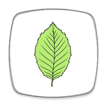 buche blatt baum pflanze form clipart design wald - Viereckiger Kühlschrankmagnet - Weiß - Vorne