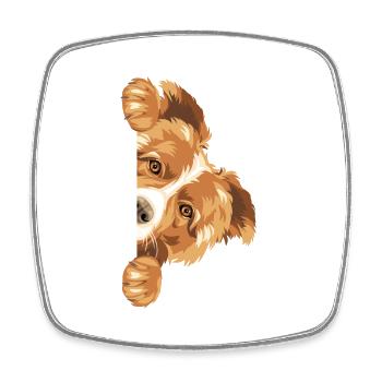 Peeking Border Collie dog - Square fridge magnet - white - Front