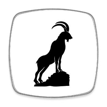 Capricorn 2 - Square fridge magnet - white - Front