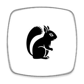 Eichhörnchen - Viereckiger Kühlschrankmagnet - Weiß - Vorne
