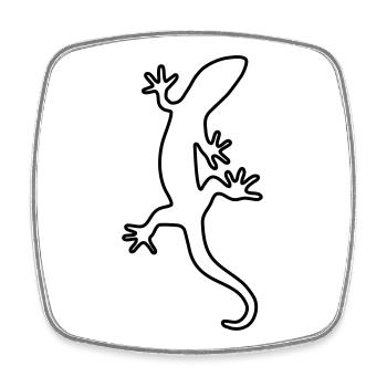 Salamander Echse Gecko Natur Lurch Tier - Viereckiger Kühlschrankmagnet - Weiß - Vorne