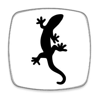 Salamander lizard gecko gift nature - Square fridge magnet - white - Front