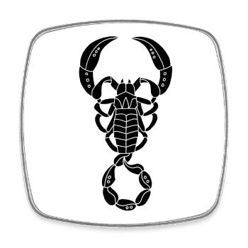 Schwarzer Skorpion - Viereckiger Kühlschrankmagnet - Weiß - Vorne