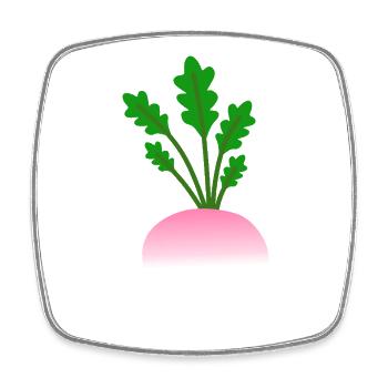 Minimalistische Rüben botanische Illustration - Viereckiger Kühlschrankmagnet - Weiß - Vorne
