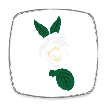 Weiße Rose mit grünen Blättern - Viereckiger Kühlschrankmagnet - Weiß - Vorne