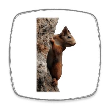 Neugieriges Eichhörnchen am Baumstamm - Viereckiger Kühlschrankmagnet - Weiß - Vorne