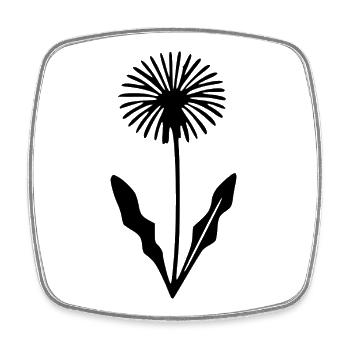Flower Dandelion Flowers Blossom Wildflowers Herbs - Square fridge magnet - white - Front