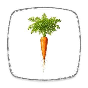 Fresh Carrot Nature Vegetable Illustration - Square fridge magnet - white - Front