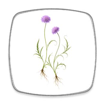 Meadow Flower Nature Illustration - Square fridge magnet - white - Front