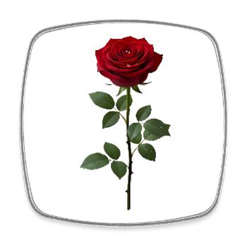 Belle Rose Rouge pour toi - Magnet carré - blanc - Devant