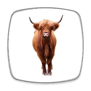Scottish Highland cattle - Square fridge magnet - white - Front