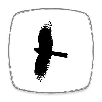 Oiseau de proie Aigle Animaux Animaux Animaux Faucon 1 - Magnet carré - blanc - Devant