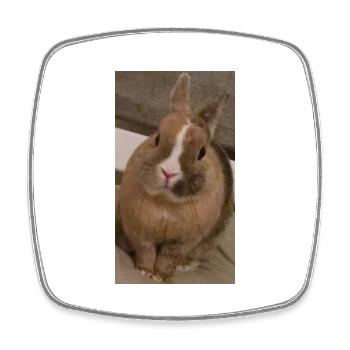 Rabbit - Square fridge magnet - white - Front