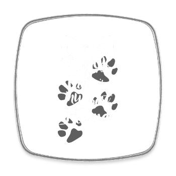 pretty darling cats - Square fridge magnet - white - Front