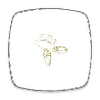 Illustrated Designs Green Splendor with Acorn - Square fridge magnet - white - Front