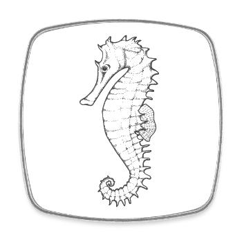 Seahorse Line Drawing - Square fridge magnet - white - Front